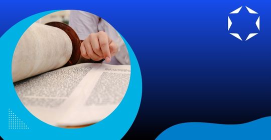 Torah Study Spotlight