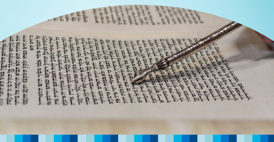 Torah & Talmud Study